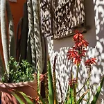 Jardins D'ailleurs Avec Piscine Et Terrasse Alloggio in famiglia *