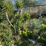Jardins D'ailleurs Avec Piscine Et Terrasse *