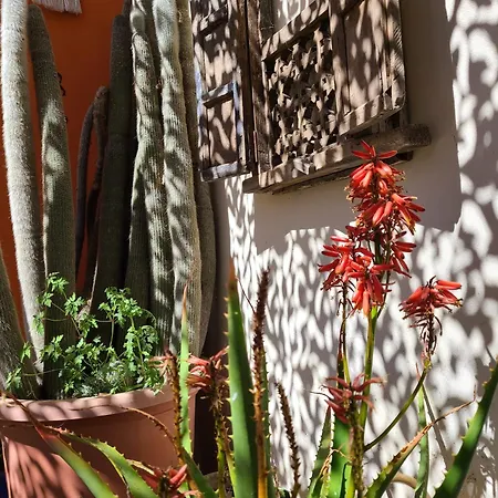 Jardins D'ailleurs Avec Piscine Et Terrasse Rum i privatbostad *