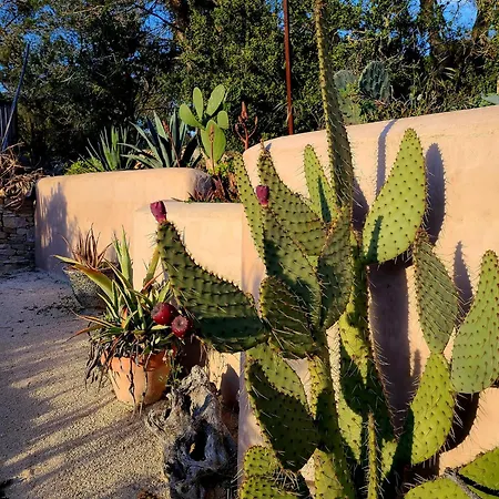 Jardins D'ailleurs Avec Piscine Et Terrasse Alloggio in famiglia *
